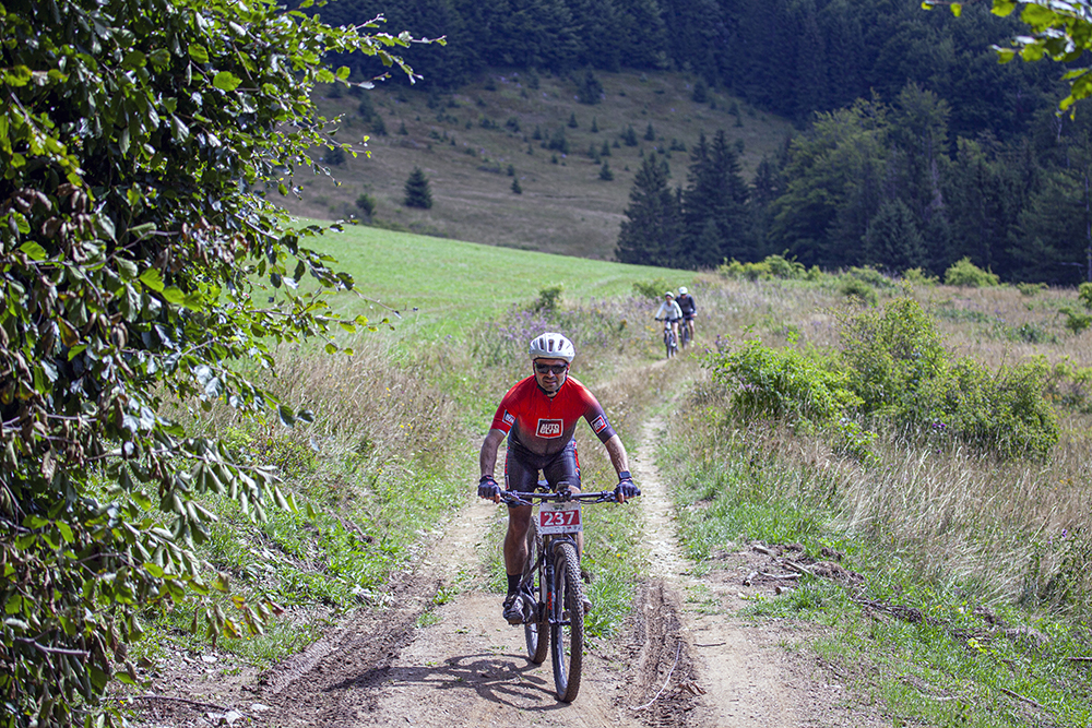 Náhľad